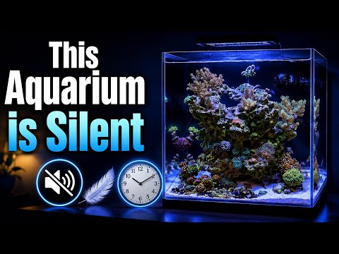 So Quiet you can Hear a Clock Ticking | JBJ (AIO) 15 Gallon Rimless Saltwater Aquarium
