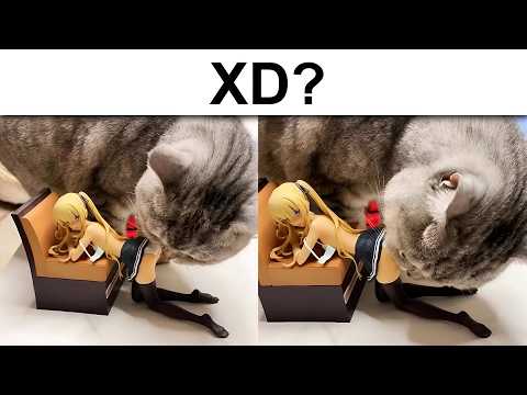 solo 10 minutos de MEMES