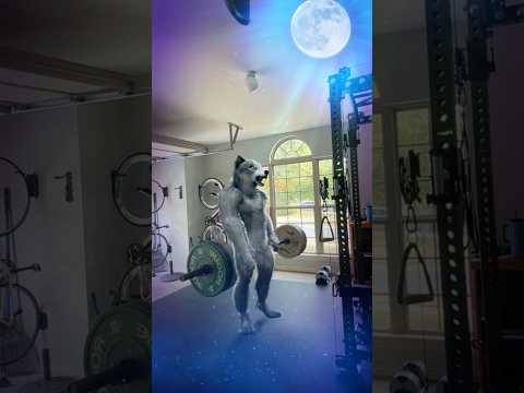 Full Moon Came Early #wolf #nwarkansas #wolfmeme #gym