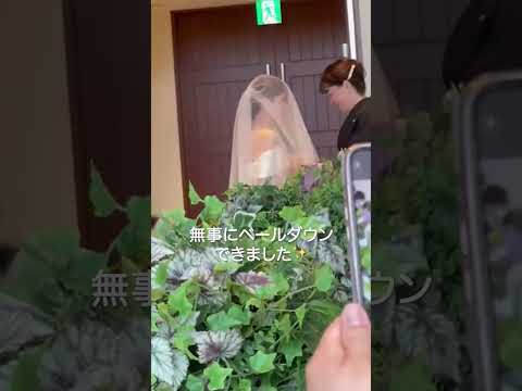 ベールダウン👰‍♀️のはずが・・・？🤣#結婚式  #shorts