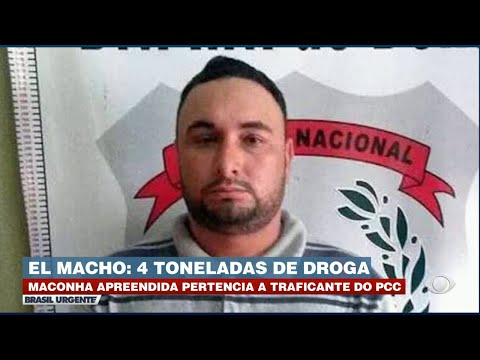 El macho tem 5 toneladas de maconha apreendidas