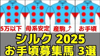 【シルクホースクラブ】2025年度お手頃募集馬3選【シャンボールフィズ24/アグレアーブル24】
