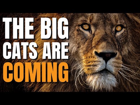 The Big Crypto Cats are Here! Institutional Bitcoin Interest is EXPLODING!!!