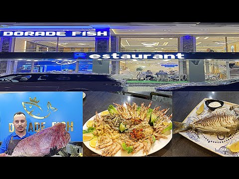 بشرى لعشاق السمك بالناطور…إفتتاح مطعم DORADE FISH ويعد زوارها بتقديم أطباق وأثمنة مناسبة.