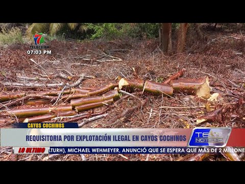 Emiten requerimientos a tres personas por explotación ilegal de recursos naturales en Cayos Cochinos