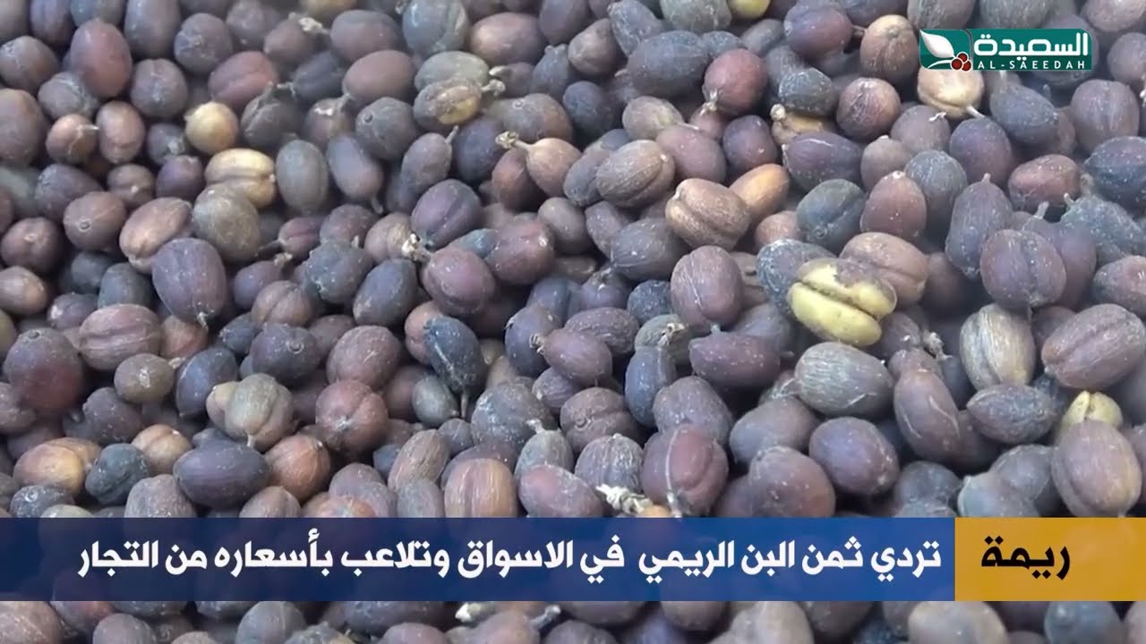 قناة السعيدة