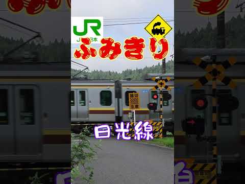 田んぼの中に響く遮断機音🌾 JR日光線のどか踏切🚃#踏切 #JR日光線 #栃木県日光市 #田んぼ #のどか #鉄道 #電車 #ローカル線の魅力 #遮断機の音 #鉄道風景