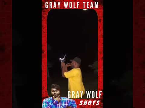 this place |this video |close my heart |GRAY WOLF| GRAY WOLF SHOTS |VASU#graywolf