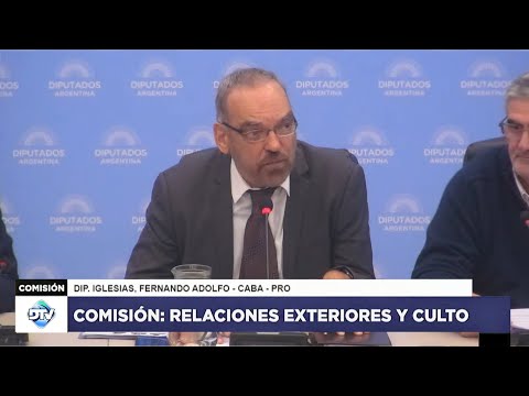 COMISIÓN EN VIVO: RELACIONES EXTERIORES Y CULTO - 24 de abril 2024 - Diputados Argentina