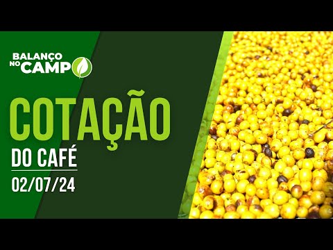 COTAÇÃO DO CAFÉ EM ALTA - 02/07/2024