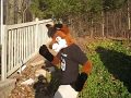 silveryote