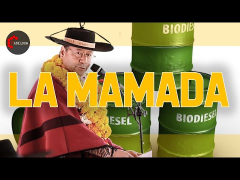 ¡LA MAM4DA DEL BIODIÉSEL! | LA ENTREVISTA A PABLO SOLÓN | #CabildeoDigital