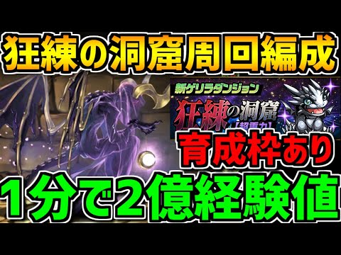 狂練の洞窟周回編成3パターン紹介！育成枠あり！1分で2億経験値を荒稼ぎしよう！【パズドラ】