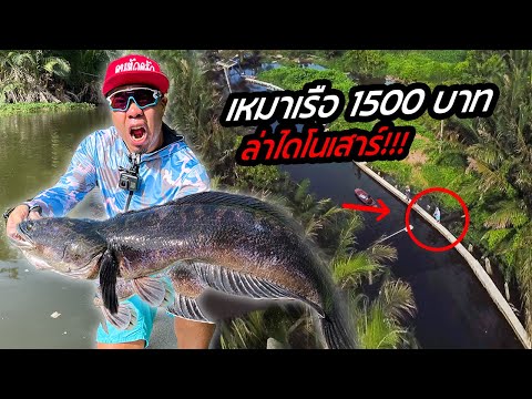 เหมาเรือ!-1,500-บาท-ล่าไดโนเสา เหมาเรือ!-1,500-บาท-ล่าไดโนเสา