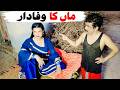 Number Daar Maa Ka Wafa Daar Funny Video  Most Comedy Funny Video  You Tv Hd 2026