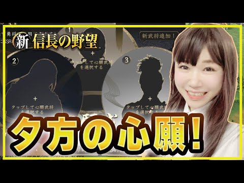 💗【夕方のシンノブ】登用券131枚でなにが出るっていうんだよ！！【#新信長の野望】338
