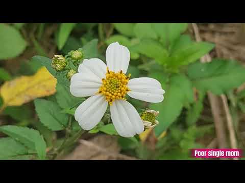 A poor single mother living on the streets was lucky to find an abandoned house.