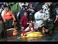 Тыква: Stuck in Vermont 147: Giant Pumpkin Regatta