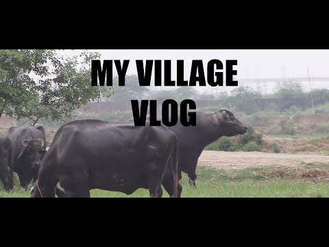 My Village Cinematic Vlogs 2021