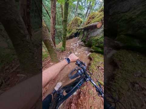 Steepest Bike Trail I have ridden in a while! #mtb #pov #gopro