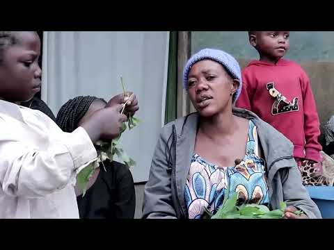 Congo military widows flee M23-held Goma | REUTERS