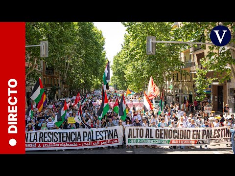 DIRECTO: Miles de personas se manifiestan en Madrid contra la guerra en Gaza