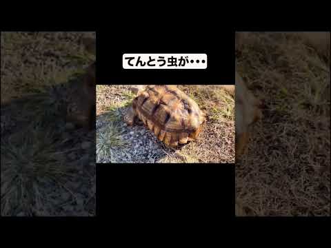 Srahngdnlp Cfm Srahngdnlp Cfm