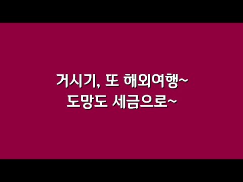 거시기, 또 <strong>해외여행</strong>~  도망도 세금으로~