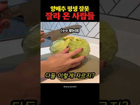 요리 초보들 난리난 일본식 <strong>양배추</strong> 보관 방법