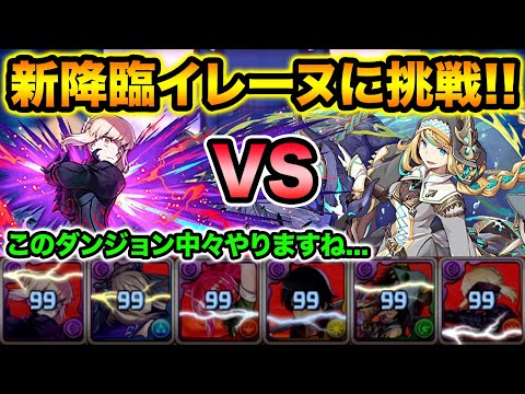【絶壊滅級】全員99ターンバインドは草 イレーヌ降臨にガチガチセイバーオルタPTで初見チャレンジ！【スー☆パズドラ】