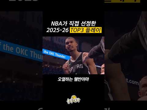 NBA가 직접 뽑은 최고의 플레이 ㄷㄷ