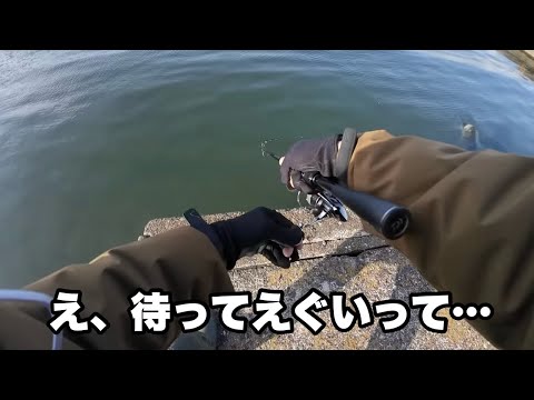 50upがウジャウジャ居る川を見つけてビビりながら釣りしてきました