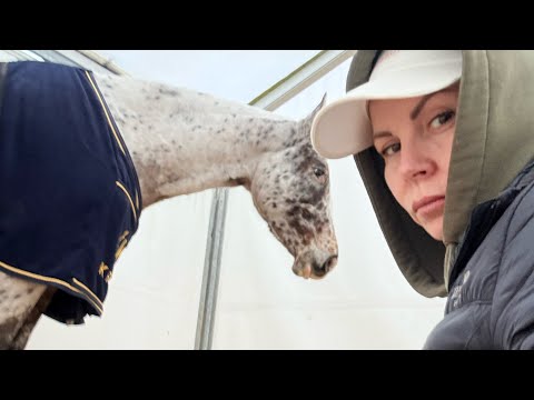 Söpis sairaalaan, katso niin autat 🙏🏼 (20.12.2025)