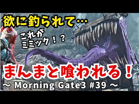 【ゆっくり実況】【バルダーズゲート３】Morning Gate3 #39