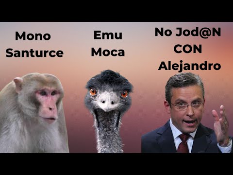 Del mono de santurce al Emu de Moca - Alejandro Garcia Padilla