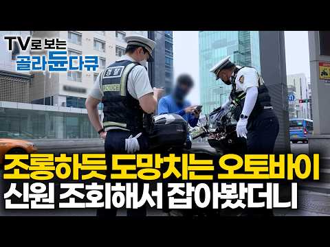"놀라서 도망갔어요" 벌금 안 내려고 도망친 오토바이 결국 이렇게 잡혔다. 싸이카까지 동원해서 무법 질주 집중 단속해봤더니｜극한직업｜#골라듄다큐