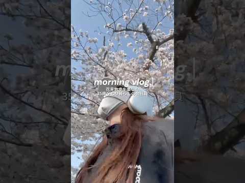 朝んぽでお花見満喫する日🌸