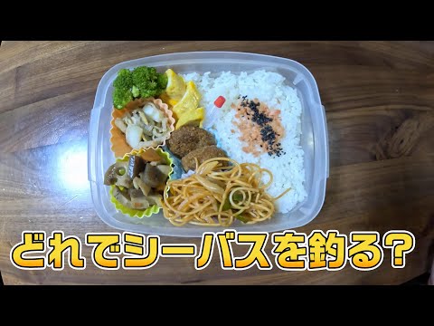 どれでシーバス釣る？