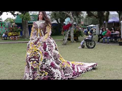 Un pueblo de Panamá se inunda de coloridas figuras hechas con más de un millón de flores