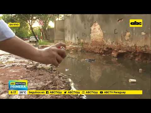 Veredas en mal estado, basuras y criaderos de mosquitos en el barrio Recoleta