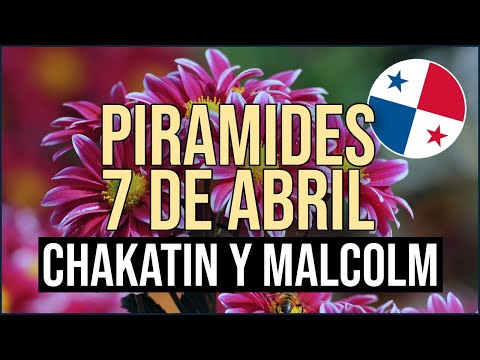 Pirámide Lotería de Panamá Domingo 7 de Abril 2024  Pirámide de Chakatin y Makumbero