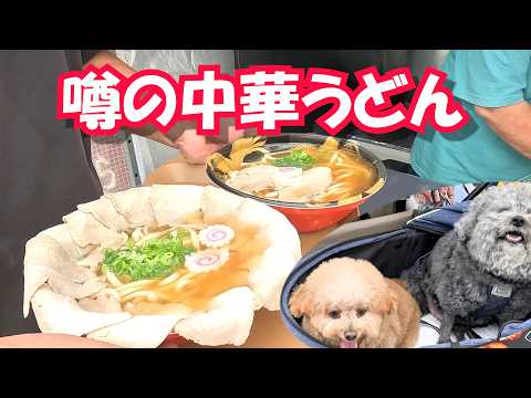 犬界隈で話題の中華うどん食べてきました