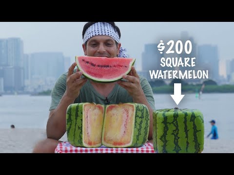 Eating a $200 Square Watermelon ? ONLY in JAPAN