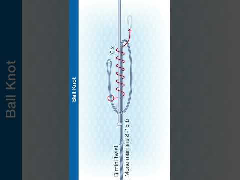 #Shorts  How To Tie The Ball Leader Knot - Mono to Mono