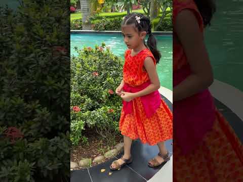 Beside Swimming Pool #sarahresort #ভাইরাল #funny