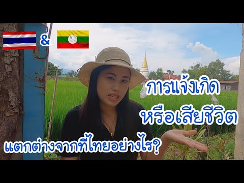 EP.199/ตอบคำถามคนเชียงตุงมีสิท EP.199/ตอบคำถามคนเชียงตุงมีสิท