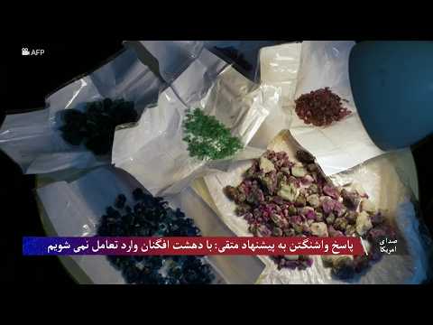 پاسخ واشنگتن به پیشنهاد متقی: با دهشت افگنان وارد تعامل نمی شویم