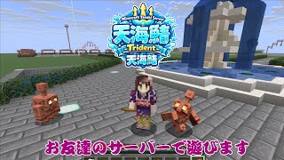 ＃2【#天海鯖 /Minecraft】お友達のサーバーでのんびり過ごします【酵穣桃桜】