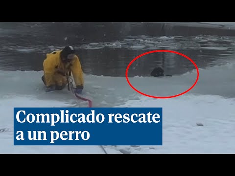 Complicado rescate a un perro que cayó en medio de un estanque helado