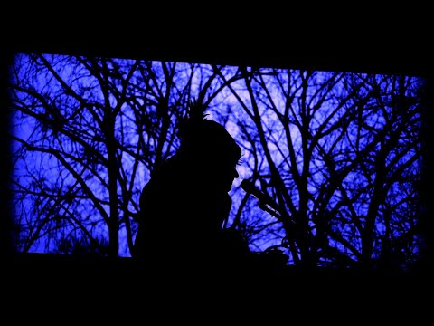Jean Leloup - Les goélands [vidéoclip officiel]